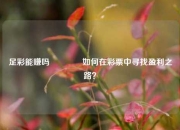 足彩能赚吗🏆如何在彩票中寻找盈利之路？