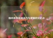 国内体育新闻活力与激情的交汇点