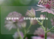 足彩全球网✌️您的专业足球预测平台