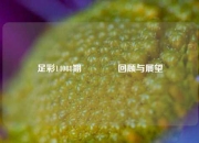 足彩14088期🏆回顾与展望