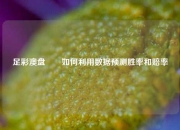 足彩澳盘✌️如何利用数据预测胜率和赔率