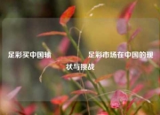 足彩买中国输🎖️足彩市场在中国的现状与挑战