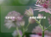 足彩滚球2。5/3👉把握胜算的关键