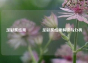 足彩奖结果🥇足彩奖结果解读与分析