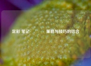 足彩 笔记🥇策略与技巧的结合