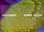 足彩16166期预测🥇把握胜算，稳中求胜