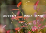 足彩看盘七句🏆把握胜负，稳中求胜