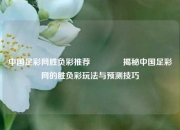 中国足彩网胜负彩推荐🏆揭秘中国足彩网的胜负彩玩法与预测技巧