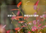 足彩16048🌈策略与技巧解析
