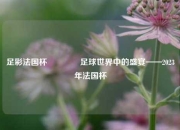 足彩法国杯🏅足球世界中的盛宴——2023年法国杯