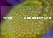 足彩球料🎖️把握足球赛事的胜负走向