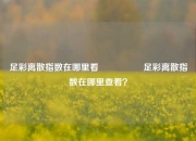 足彩离散指数在哪里看🎖️足彩离散指数在哪里查看？