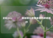 足彩18154🏅揭秘明日竞猜盛宴的神秘面纱