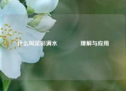 什么叫足彩满水👉理解与应用