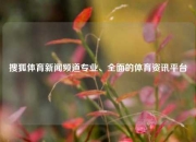 搜狐体育新闻频道专业、全面的体育资讯平台