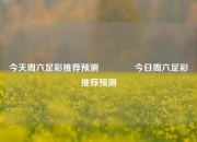 今天周六足彩推荐预测🏅今日周六足彩推荐预测
