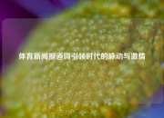 体育新闻报道词引领时代的脉动与激情