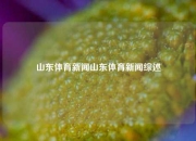 山东体育新闻山东体育新闻综述