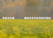 章鱼足彩推👉揭秘未来足球预测的奥秘