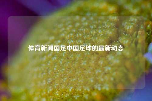 体育新闻国足中国足球的最新动态