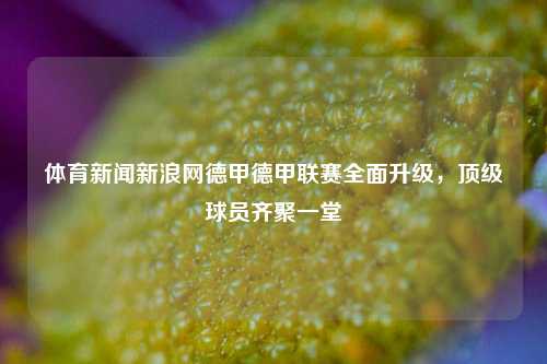 体育新闻新浪网德甲德甲联赛全面升级，顶级球员齐聚一堂