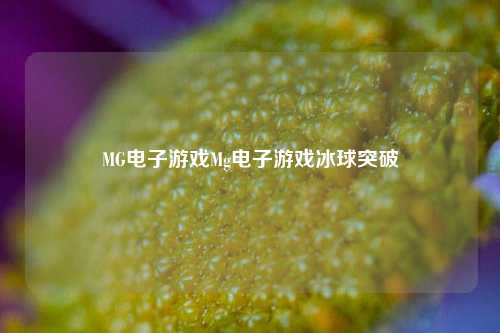 MG电子游戏Mg电子游戏冰球突破