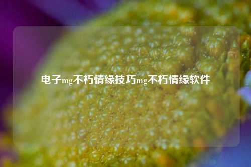电子mg不朽情缘技巧mg不朽情缘软件