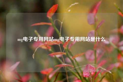 mg电子专用网站mg电子专用网站是什么