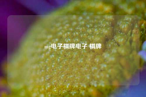 mg电子棋牌电子 棋牌