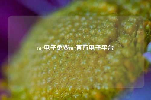 mg电子免费mg官方电子平台