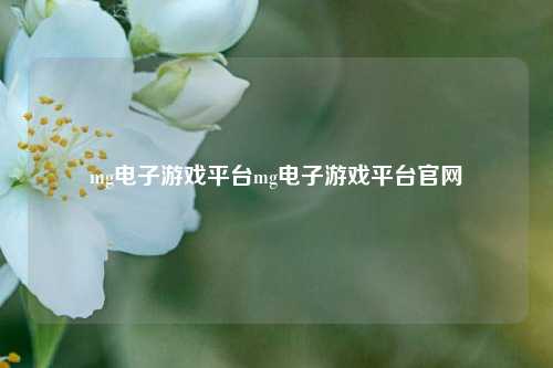 mg电子游戏平台mg电子游戏平台官网