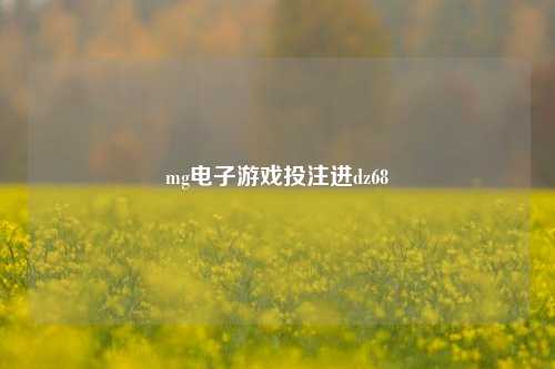 mg电子游戏投注进dz68