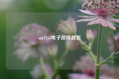mg4355电子游戏首页