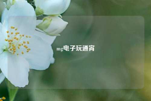 mg电子玩通宵