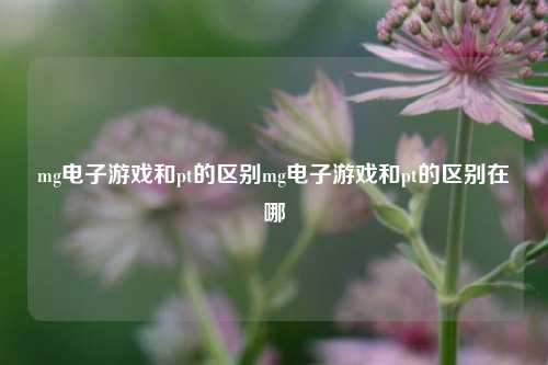 mg电子游戏和pt的区别mg电子游戏和pt的区别在哪