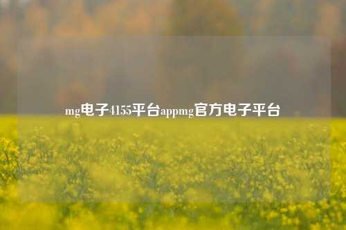 mg电子4155平台appmg官方电子平台