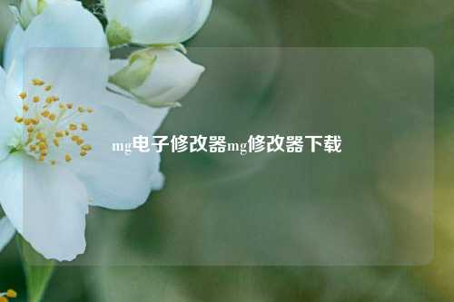 mg电子修改器mg修改器下载