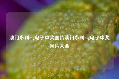 澳门永利mg电子中奖图片澳门永利mg电子中奖图片大全