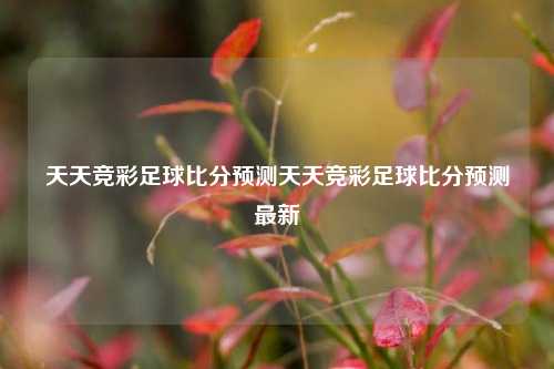 天天竞彩足球比分预测天天竞彩足球比分预测最新