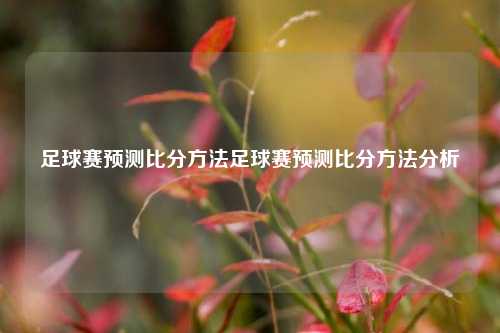 足球赛预测比分方法足球赛预测比分方法分析