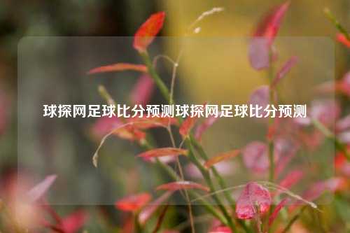 球探网足球比分预测球探网足球比分预测