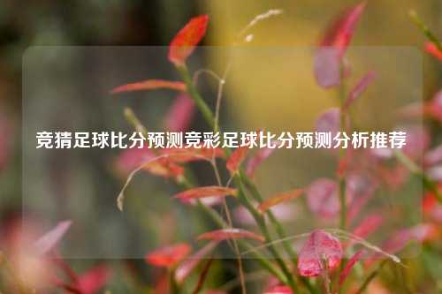竞猜足球比分预测竞彩足球比分预测分析推荐