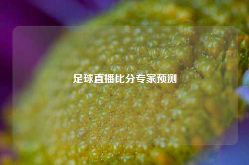 足球直播比分专家预测