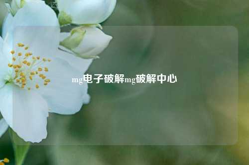mg电子破解mg破解中心