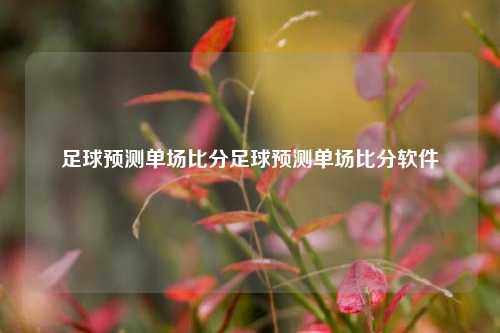 足球预测单场比分足球预测单场比分软件
