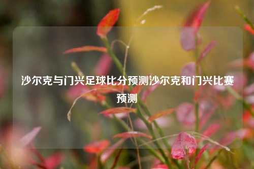 沙尔克与门兴足球比分预测沙尔克和门兴比赛预测