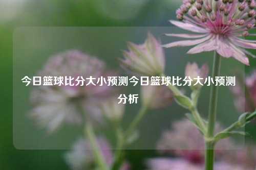 今日篮球比分大小预测今日篮球比分大小预测分析