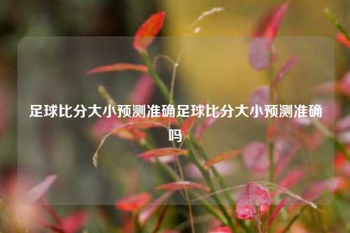 足球比分大小预测准确足球比分大小预测准确吗