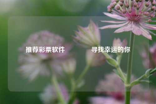 推荐彩票软件🥇寻找幸运的你