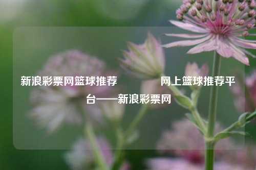 新浪彩票网篮球推荐🥉网上篮球推荐平台——新浪彩票网